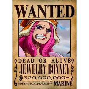 Placa Decorativa OnePiece Wanted Jewerly Bonney